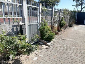 Property grounds - Welcome to Springforth Guesthouse (City of Cape Town Metropolitan Municipality)