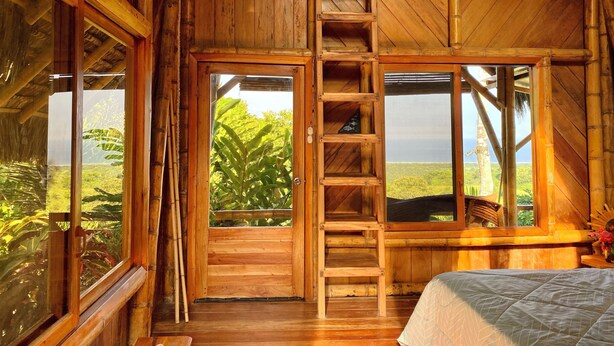 A wooden cabin with a ladder leading to a balcony, a bed, and large windows offering a view of greenery.
