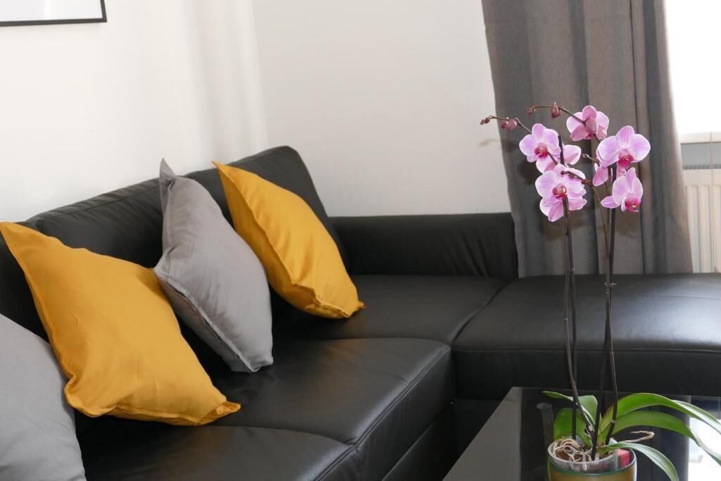 Superior Apartment | Living area