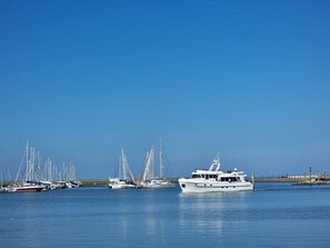 A marina with several sailboats docked.