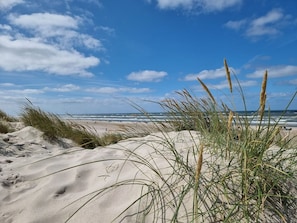 A beach with sand dunes and grass in the foreground, leading to the ocean.