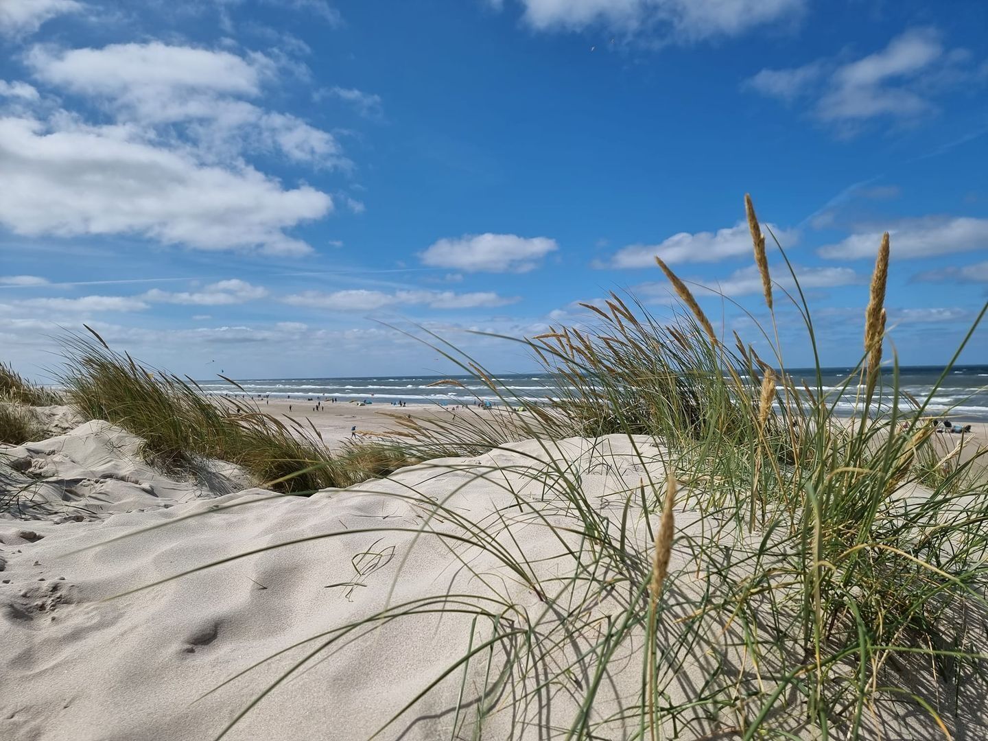 Strand