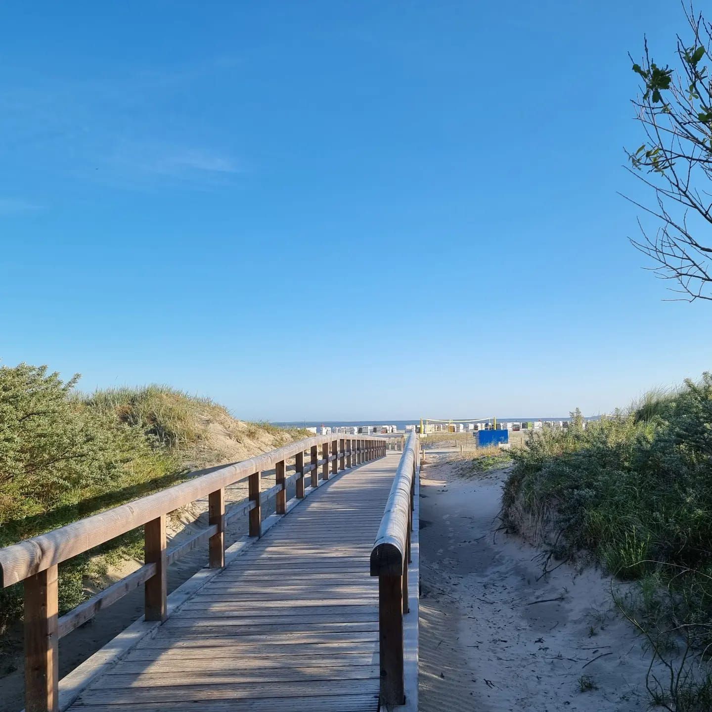 A wooden boardwalk leading to a beach with dunes and sparse vegetation.