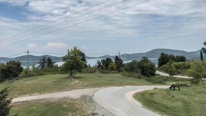 Ett lantligt landskap med en slingrande väg, ett betande häst och en sjö eller liknande vattendrag i fjärran.