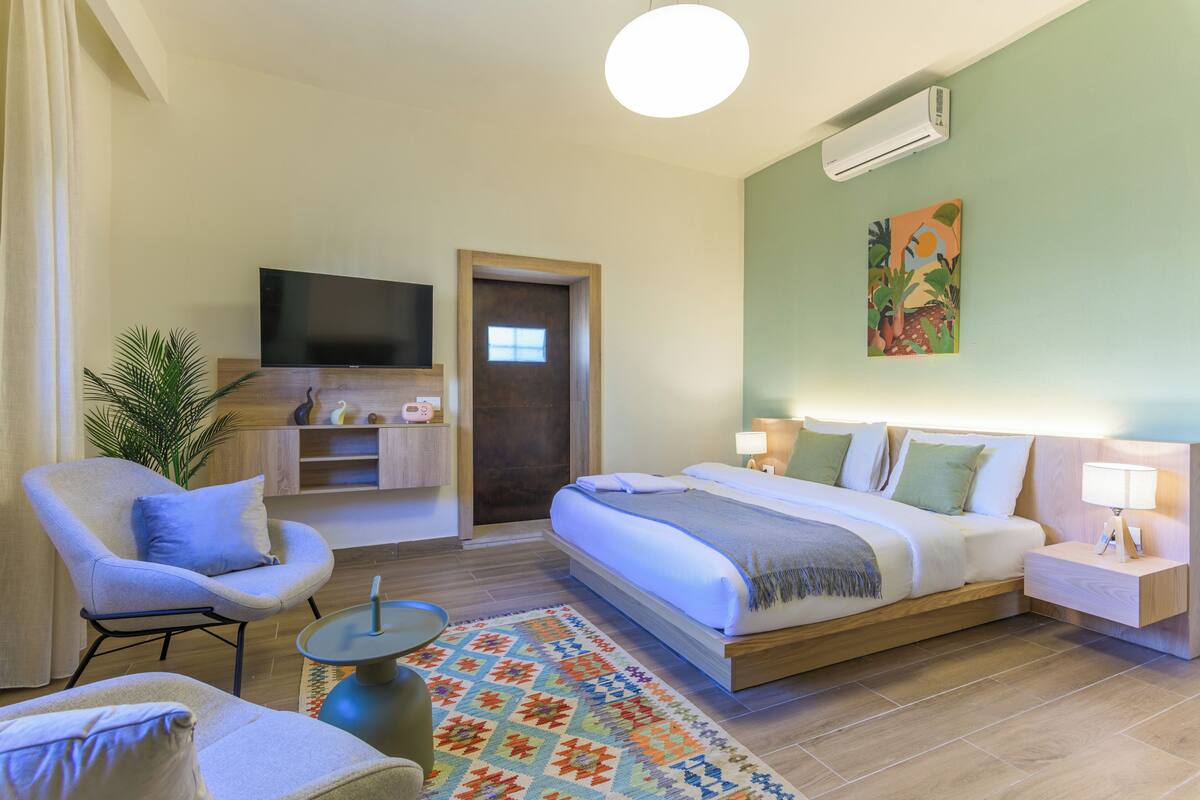 Une chambre d’hôtel avec un lit, une télévision, un bureau, une chaise, une plante et un tapis coloré.