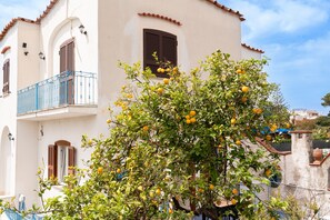 Un edificio con balcón, contraventanas y un árbol con frutos.