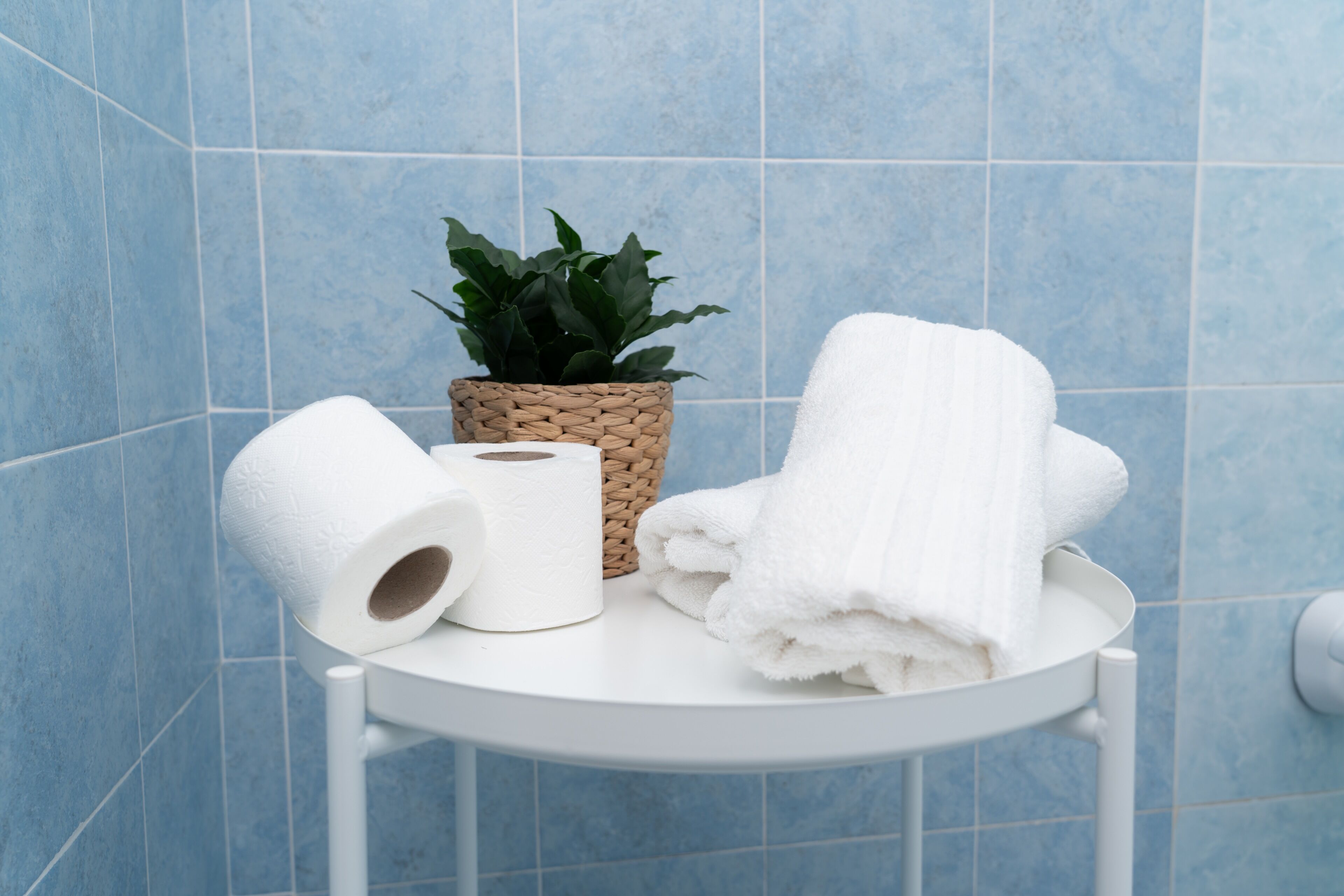 A bathroom with blue tiles, a white towel, a roll of toilet paper, and a woven basket with a plant.