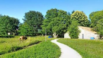 Paisagem rural com uma trilha de terra, um cavalo e um edifício com telhado inclinado.