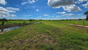 Paisaje rural con cielo despejado, campos verdes, un pequeño estanque y una cerca.