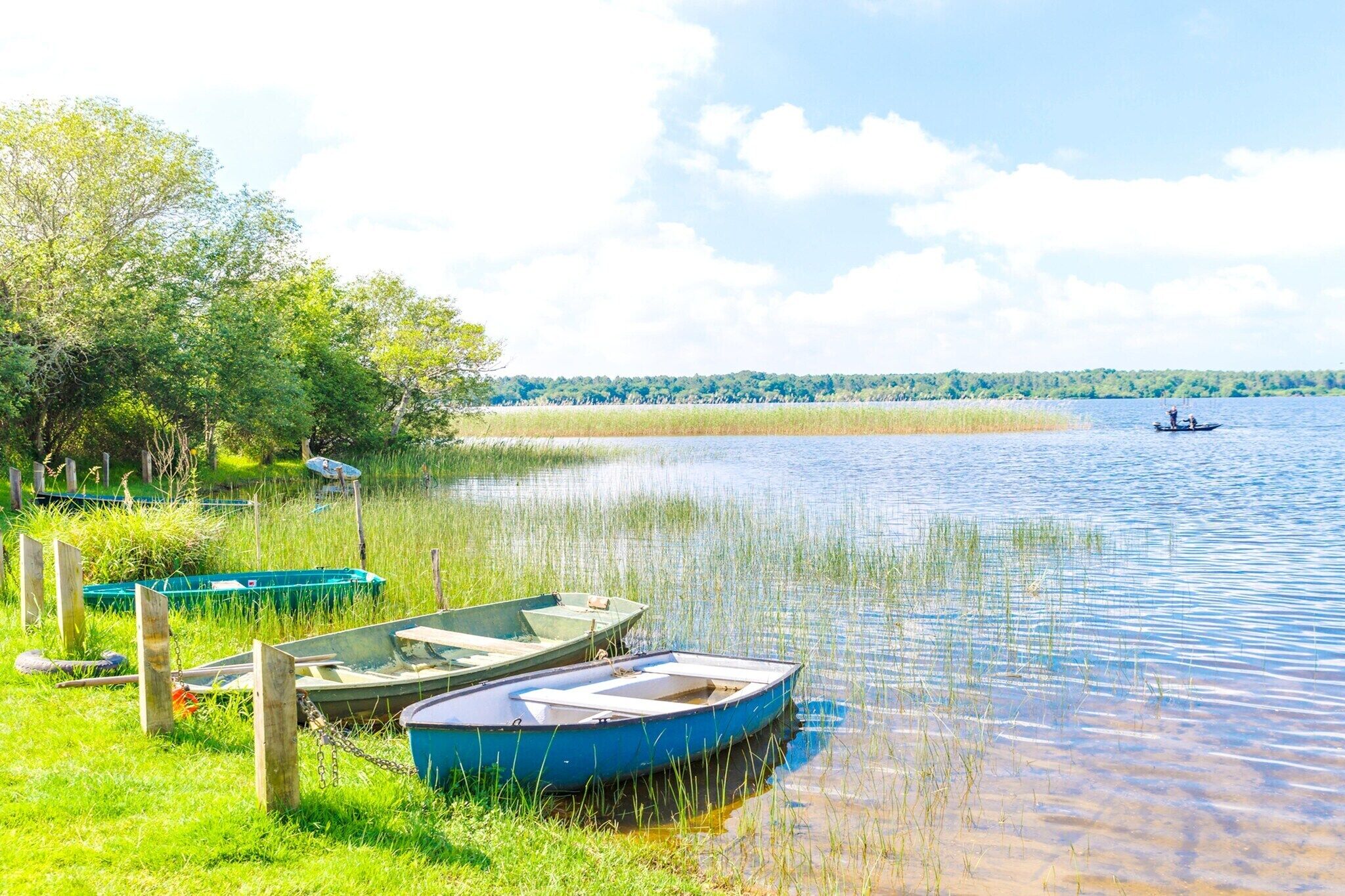A calm lake with boats docked on the shore, surrounded by greenery and trees.