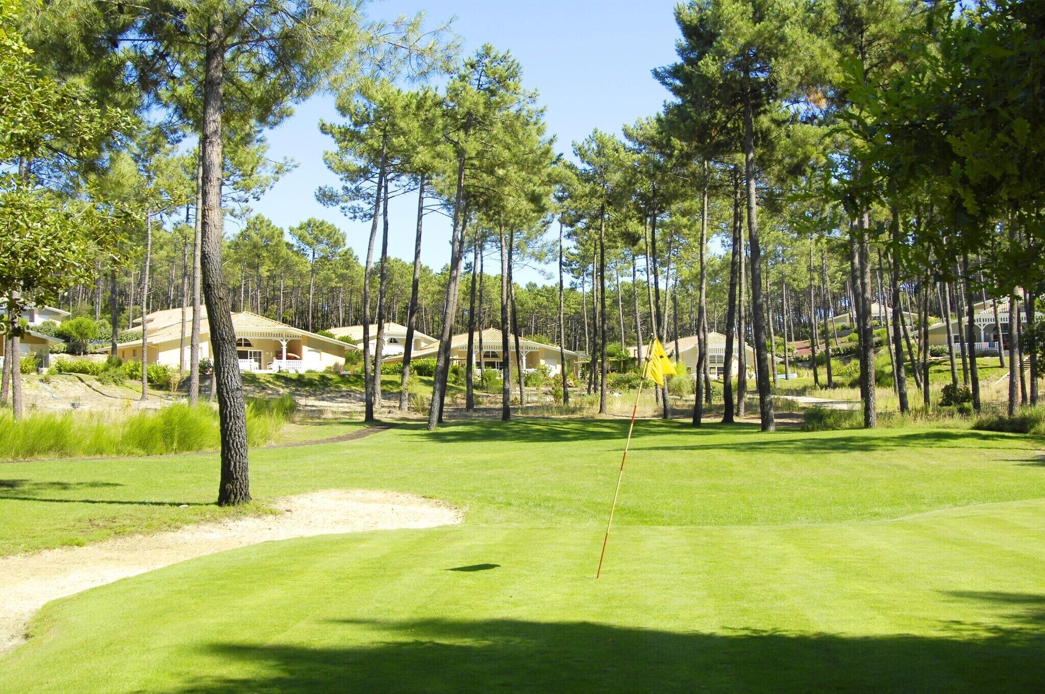 Un terrain de golf avec un mât de drapeau, entouré de grands pins et avec des immeubles d’habitation en arrière-plan.