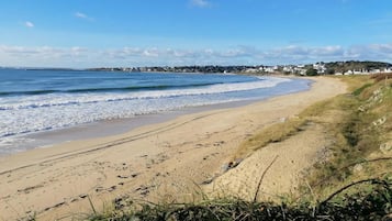 A beach with a sandy shore, a fence, and houses in the background.