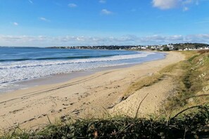 Uma praia com areal dourado, uma cerca e casas ao fundo.