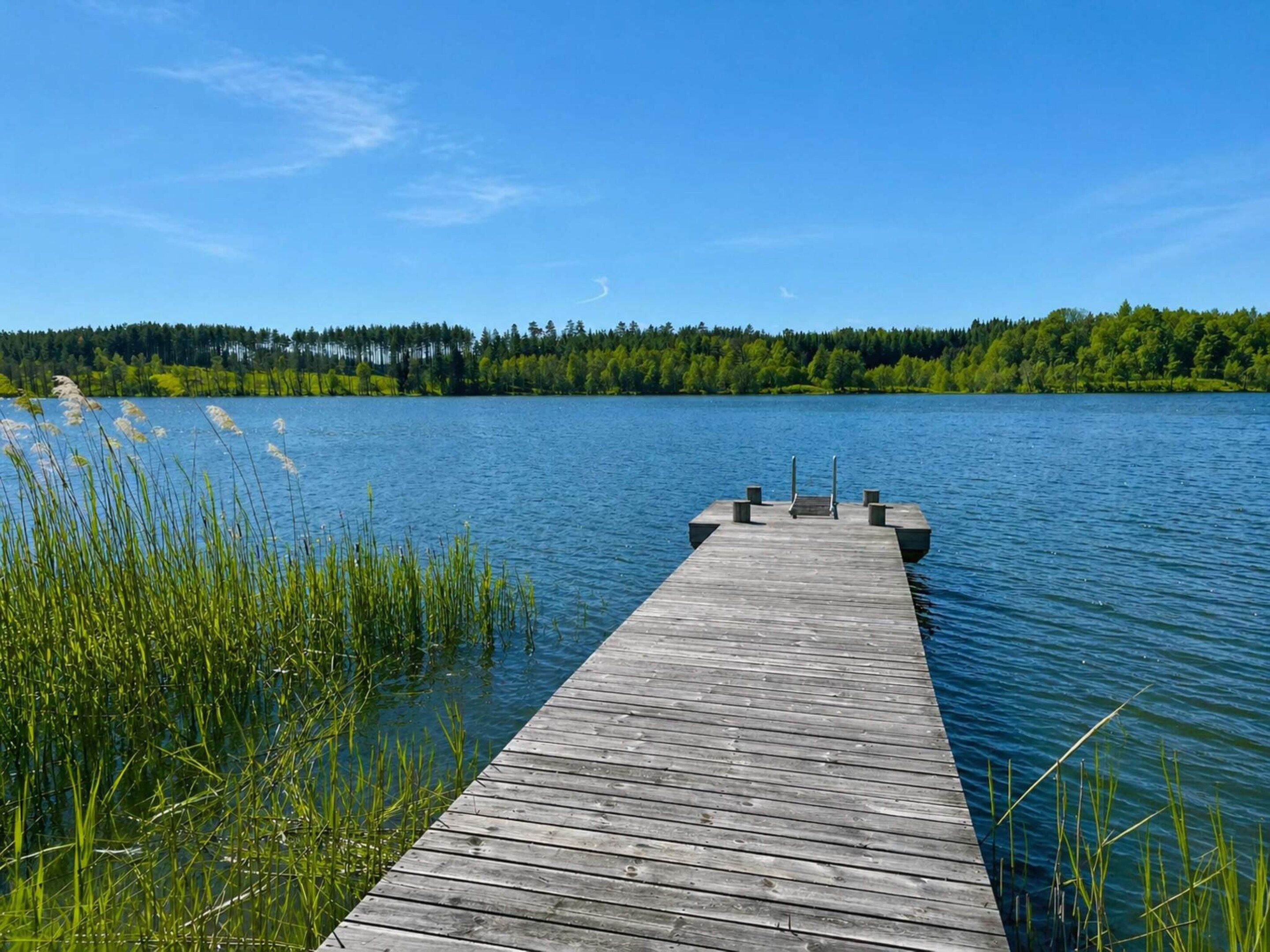 A wooden dock extending into a calm lake with a forested shoreline in the background.