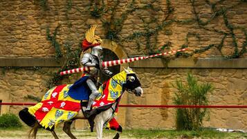 Un chevalier en armure à cheval, un cheval avec une selle décorée et un mur de pierre orné de verdure.