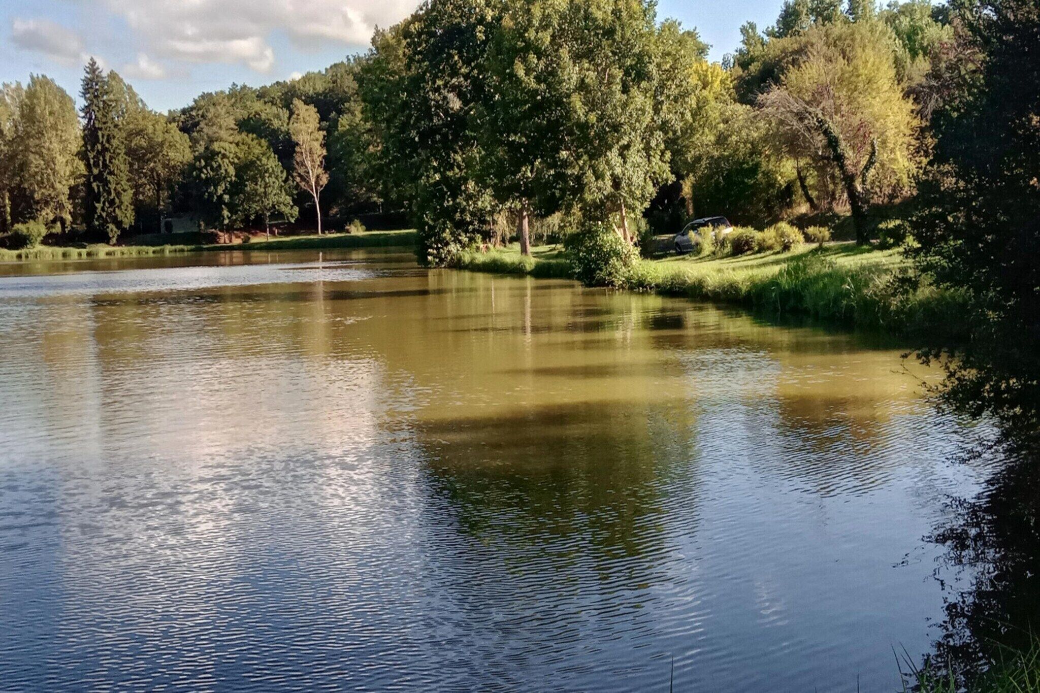 Un lago tranquilo rodeado de árboles y un área verde.