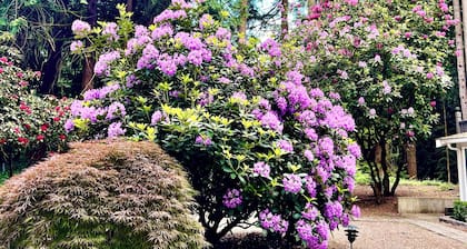 Peaceful forest retreat Woodinville near wineries and Redmond