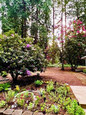 Property grounds - Woodinville peaceful forest retreat near wineries and Redmond (Woodinville)