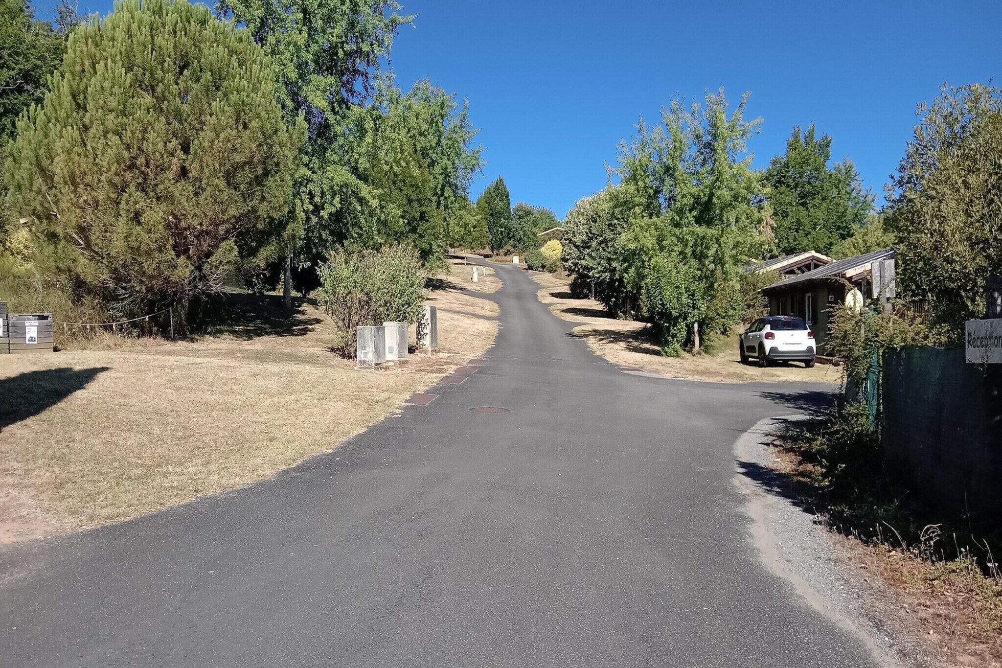 Uma estrada rural com um carro branco estacionado à direita, rodeada por árvores e um edifício com a placa 'Reception'.