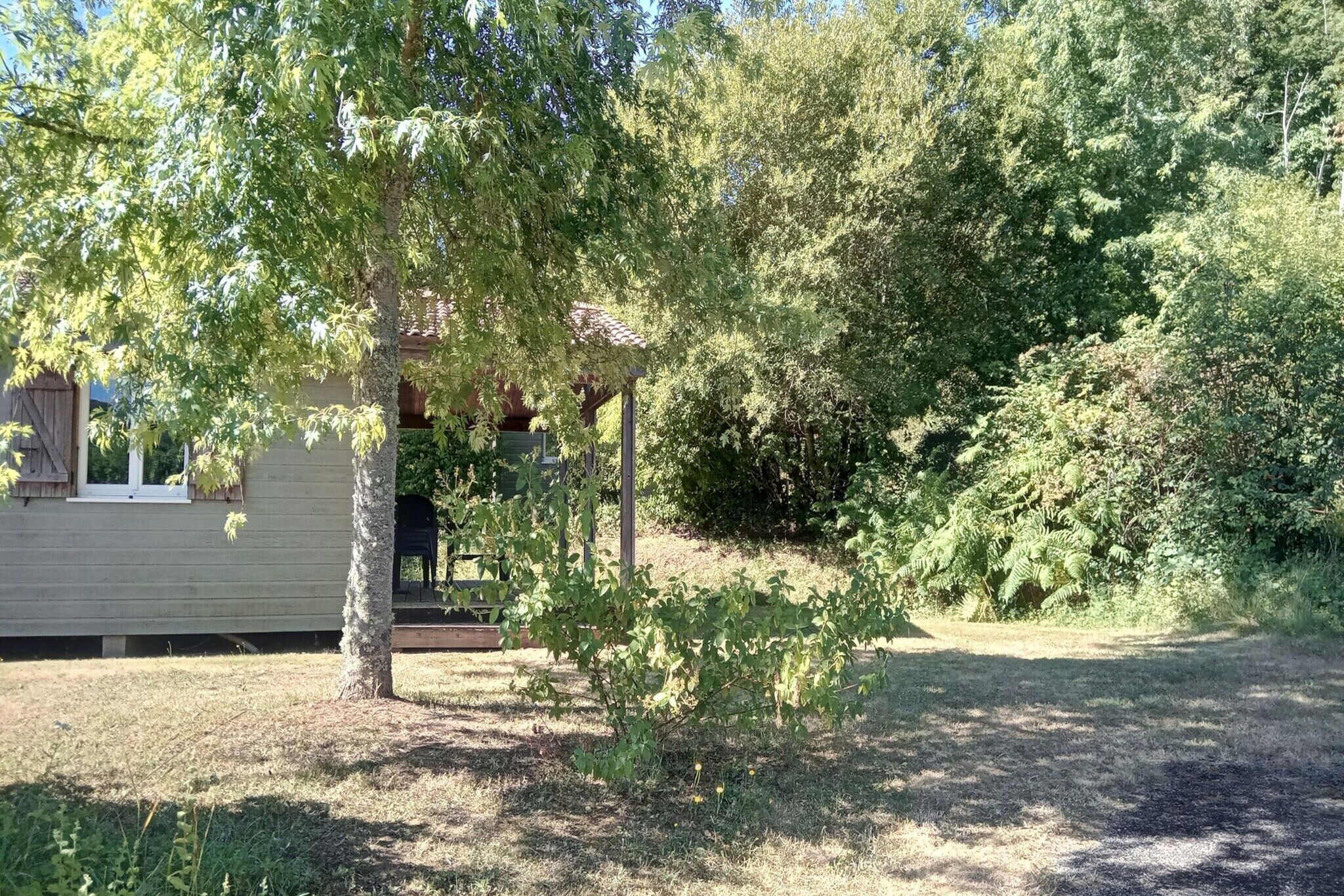 Een huis met een veranda, een kleine boom en weelderige begroeiing op de achtergrond.
