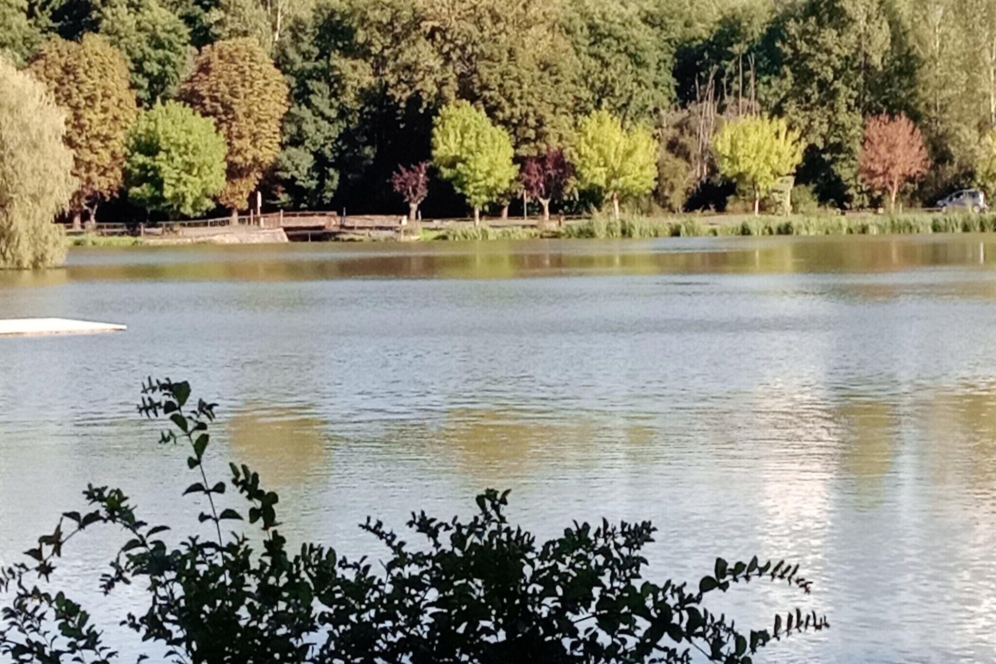 Ein ruhiger See mit Bäumen im Hintergrund.