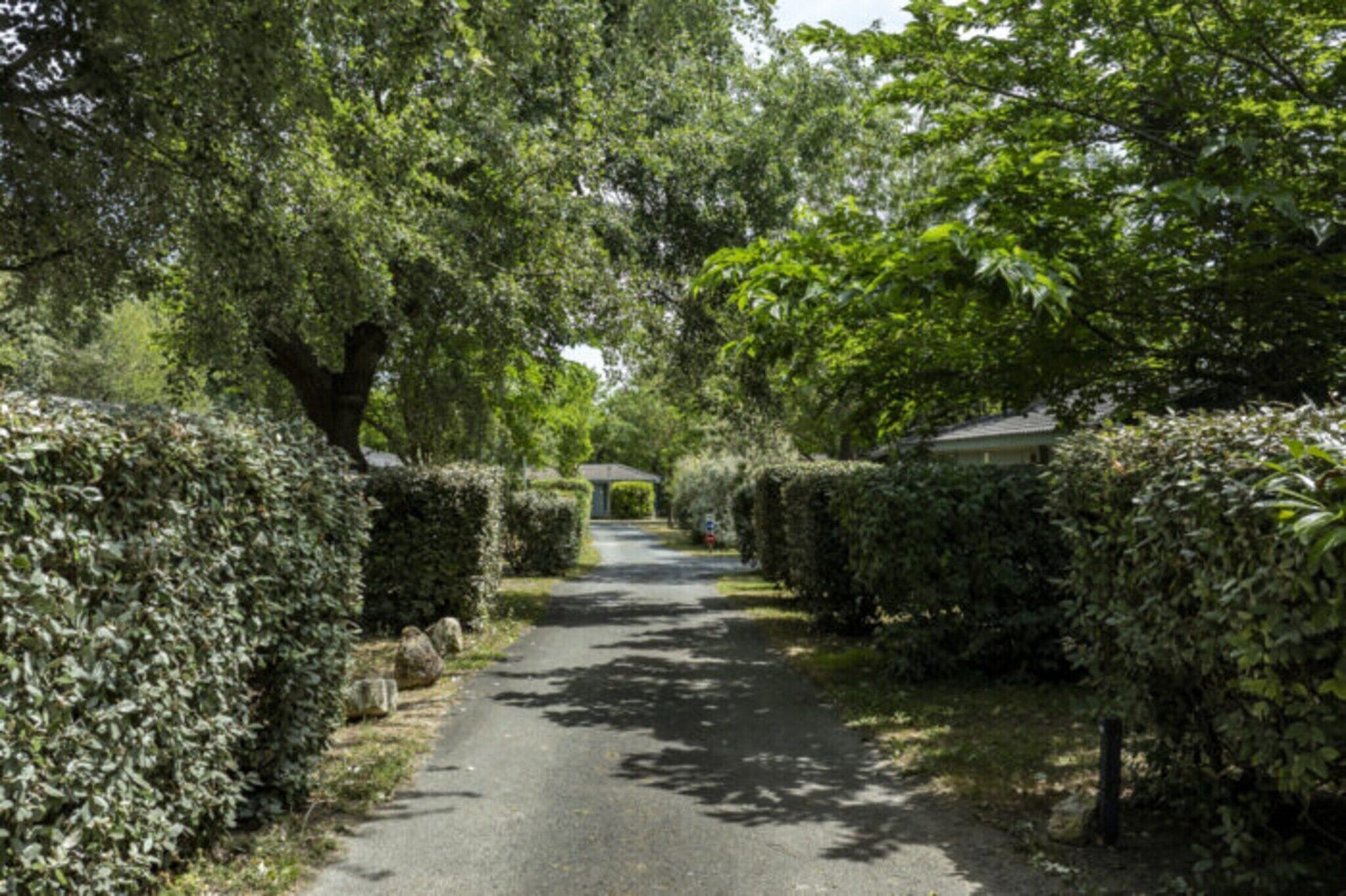 A paved pathway flanked by neatly trimmed hedges, leading to a traditional building with a tiled roof.