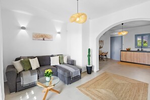 Smart-TV, Kamin