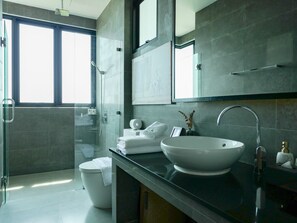 Hair dryer, towels, soap, toilet paper - Charming 4 BR villa with private pool 180-degree Seaview in beautiful Koh Samui (Koh Samui)