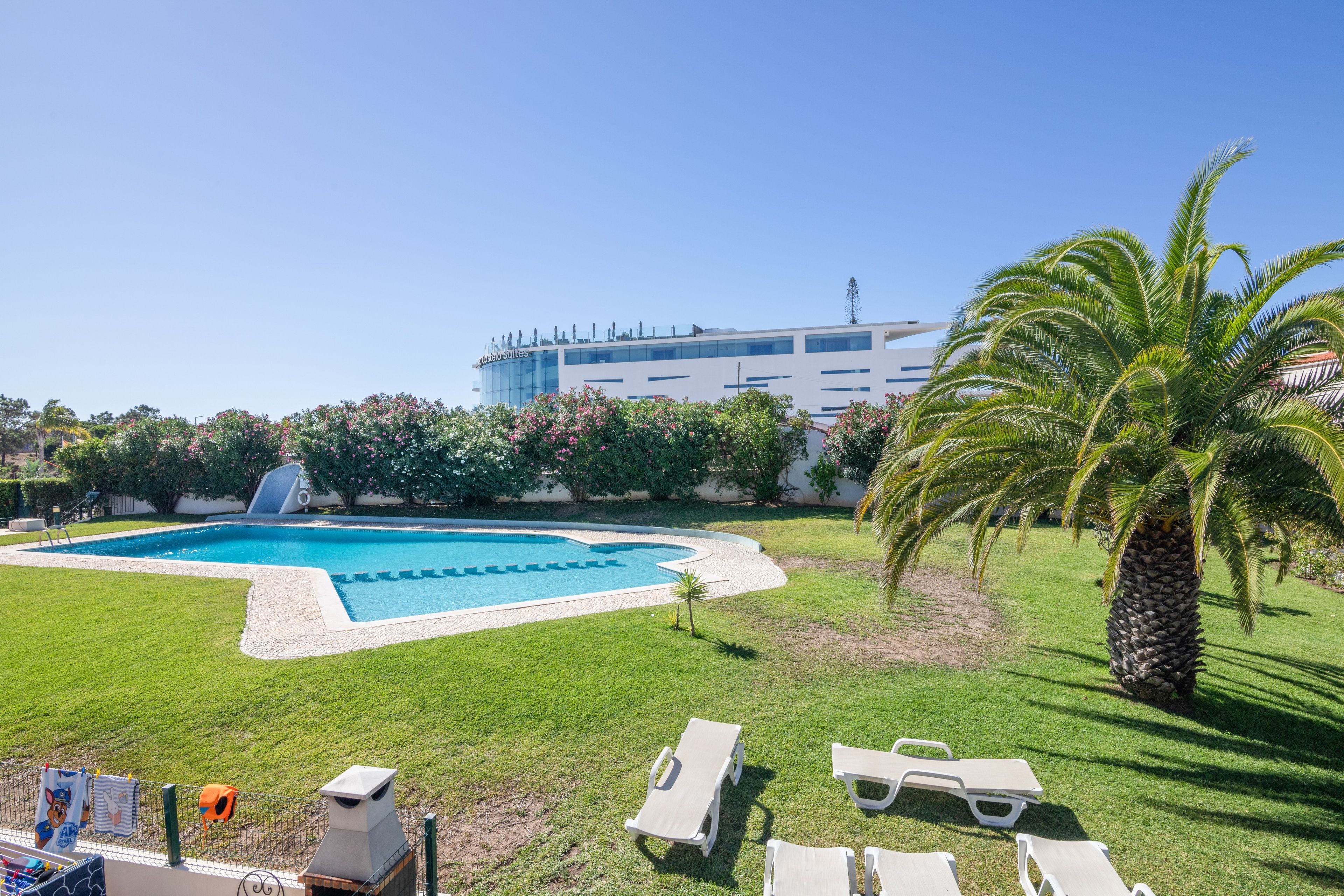 Une piscine entourée d’une pelouse, de chaises longues et d’un palmier.