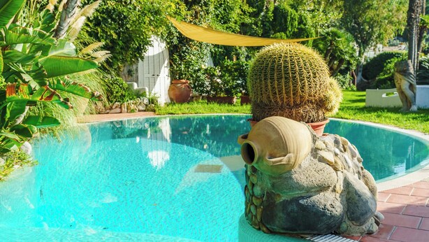 Una piscina con una escultura de cactus, rodeada de vegetación y un suelo de baldosas.