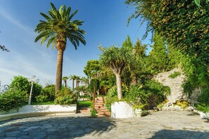 A stone-paved pathway leading to a staircase surrounded by lush greenery and palm trees. - Complesso Villa Le Palme (Forio)
