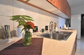 Private kitchen - Deep blue seaside Villa - On the sea!!!! (Zakynthos)