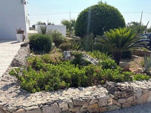Property grounds - Li Canti di Giulia - Elegant villa with private pool in Salento (Casarano)