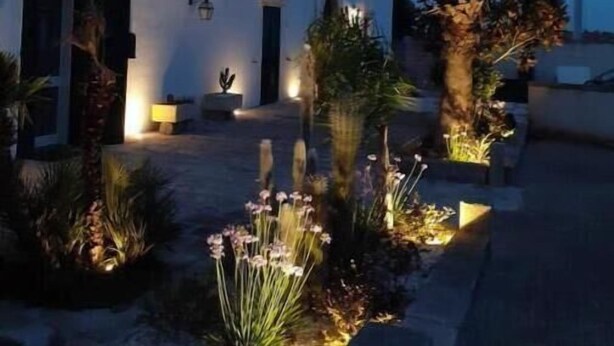 En vit byggnad med ett platt tak, ett palmträd och en trädgård med växter och blommor.