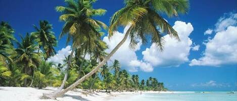 Playa