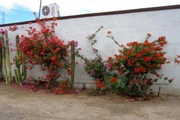 Gated parking