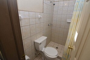 A small bathroom with a toilet, a shower, and a curtain.