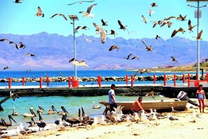 Beach - San Felipe Studio Five (San Felipe)