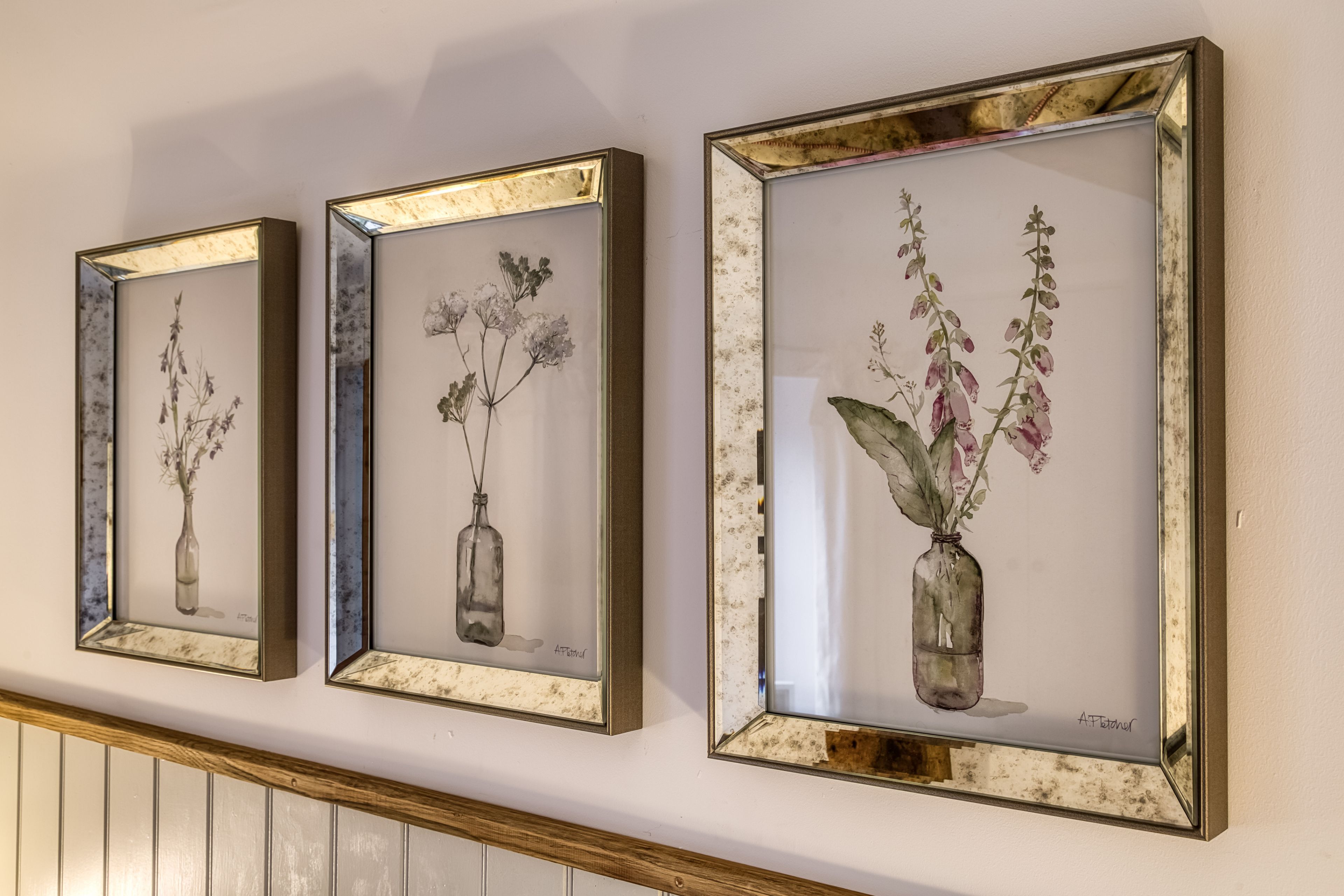 Three framed botanical prints on a wall.