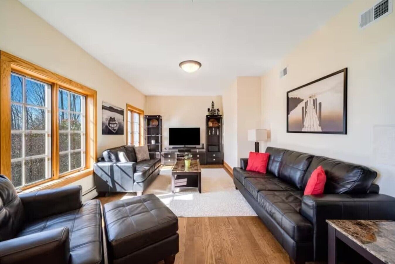 A living room with a sofa, a coffee table, and a TV. There are windows on one side and a fireplace on the other.