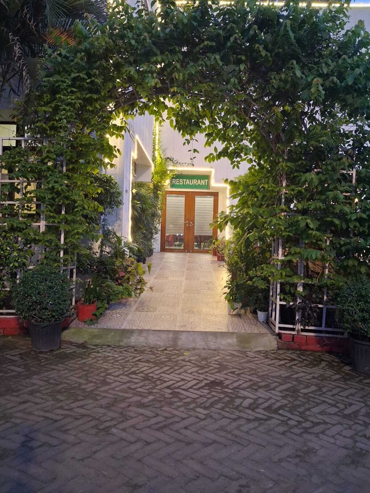 Entrada de restaurante con un camino empedrado que lleva a una puerta, rodeada de plantas en macetas y follaje.
