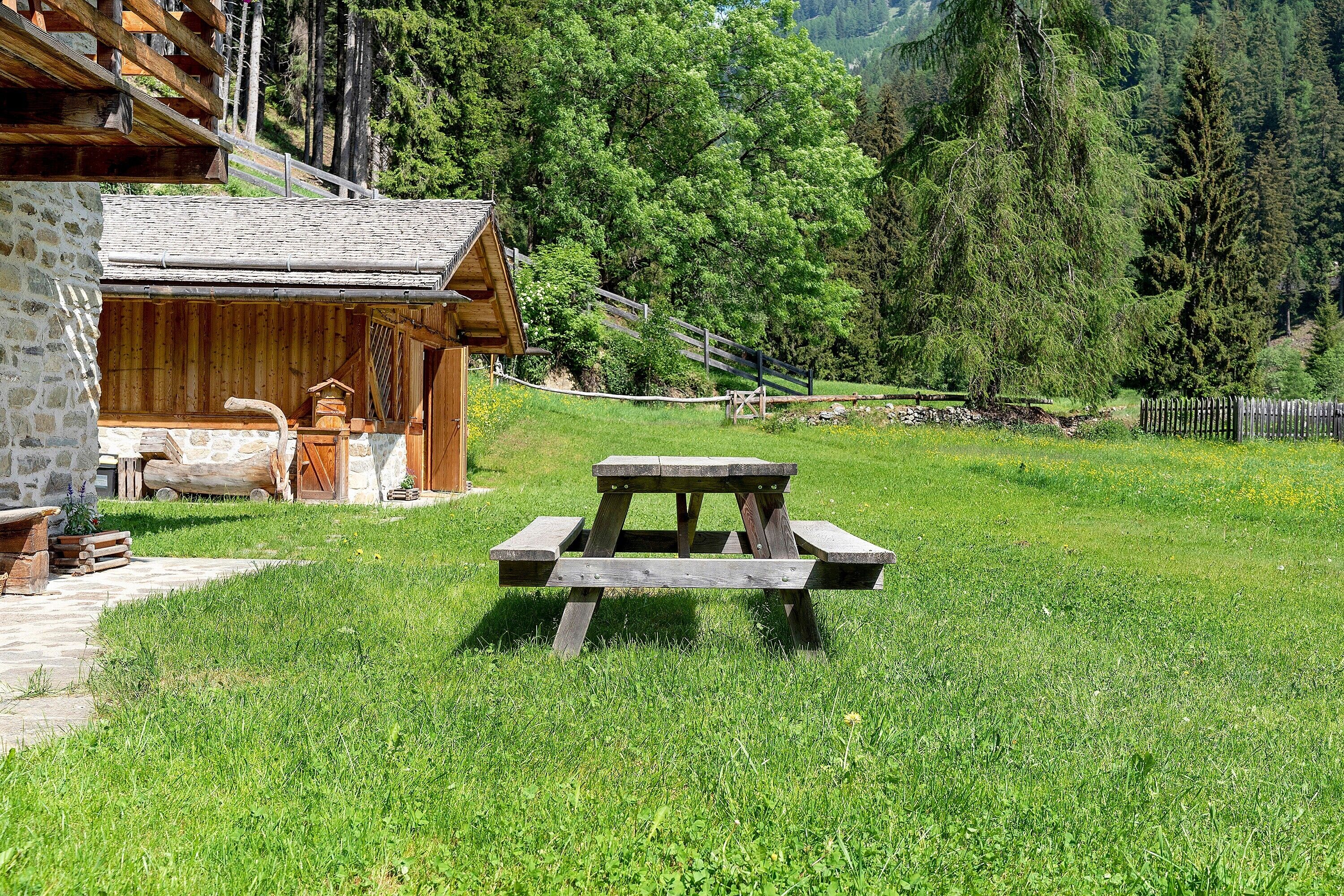 A picnic table in a grassy field with a wooden cabin in the background.
