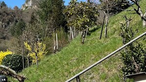 A hillside with a metal staircase, a building with a tiled roof, and a clear blue sky.