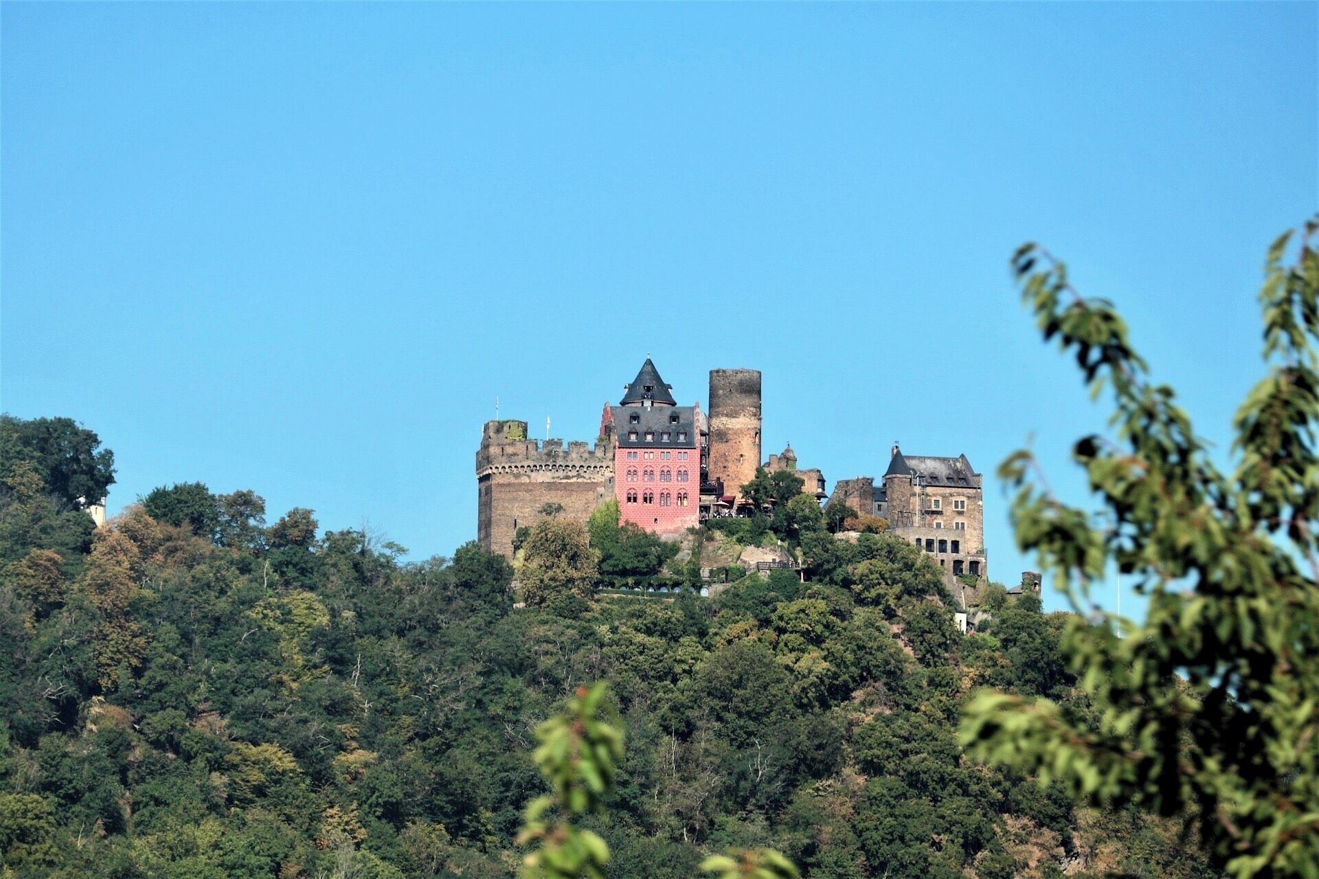 Un castello su una collina, con una fitta foresta.