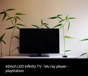 Fernseher