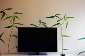 Television - Bamboo room in Bruges - Discover our city with our 2 bicycles (Brugge)
