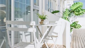 Un área de estar exterior blanca con una mesa y sillas, una planta en maceta y hojas verdes grandes al fondo.