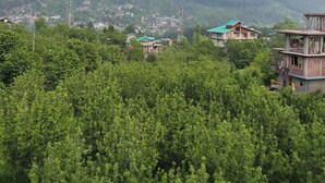 Un paisaje montañoso con un denso bosque verde en primer plano, algunos edificios y un cielo despejado.