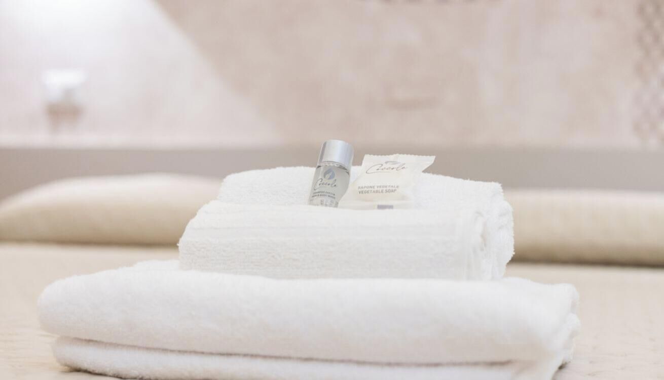 Shower, bidet, towels, shampoo