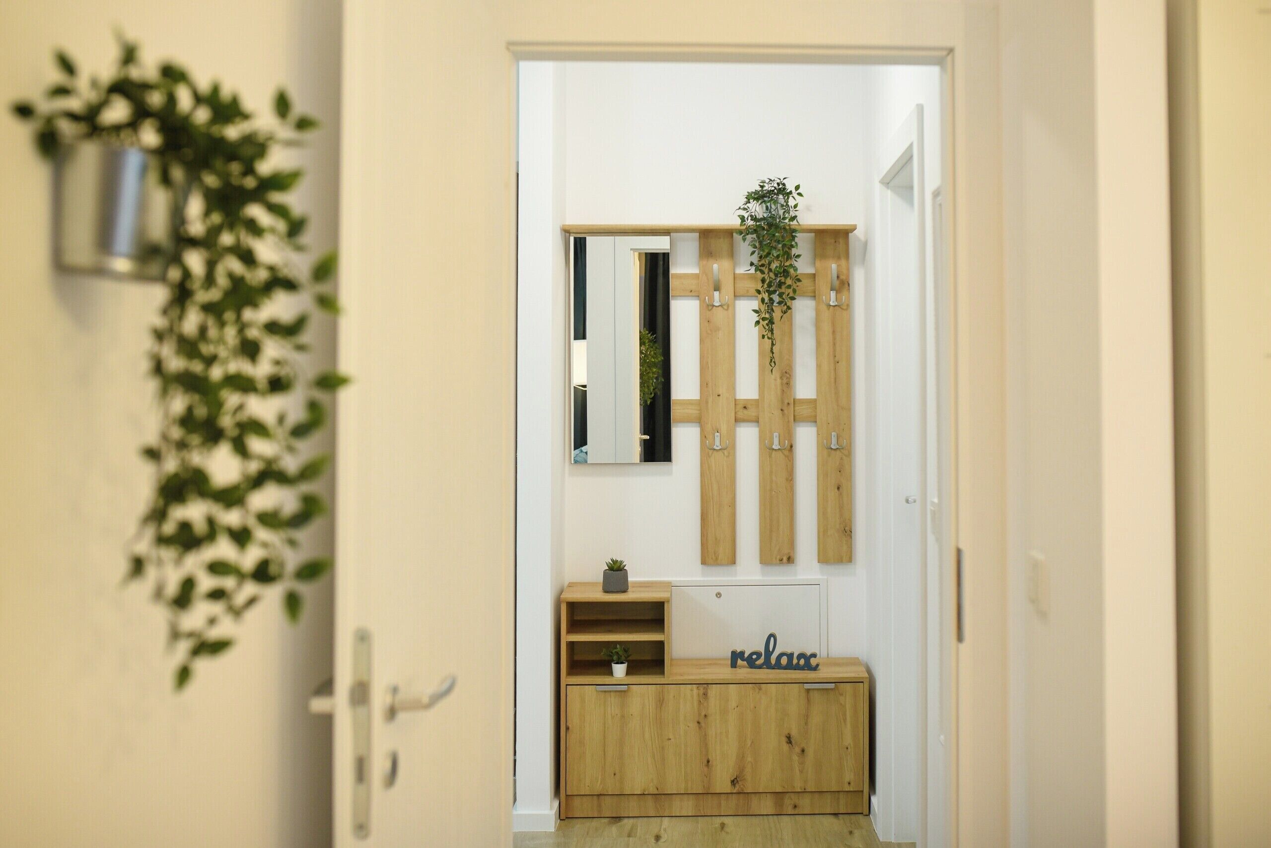 A hallway with a wooden cabinet, a mirror, and a hanging plant.